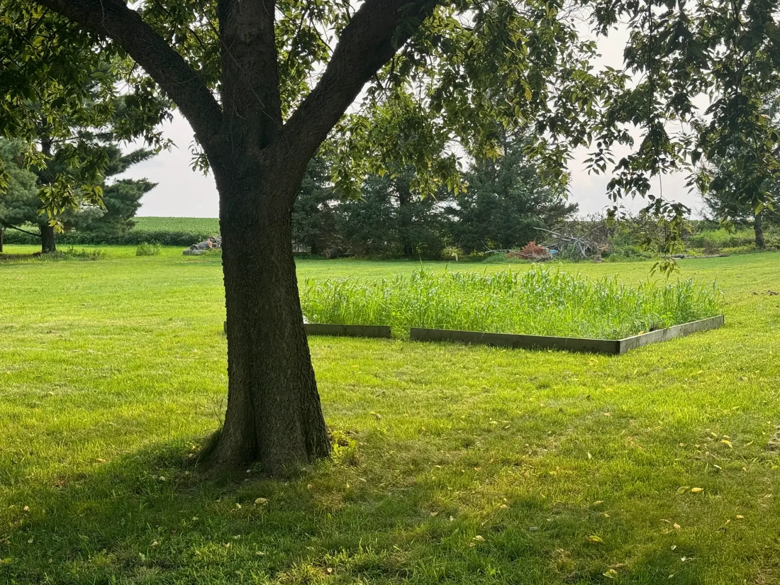10908 NW 107th Street, Granger, Iowa - Raised Garden Bed
